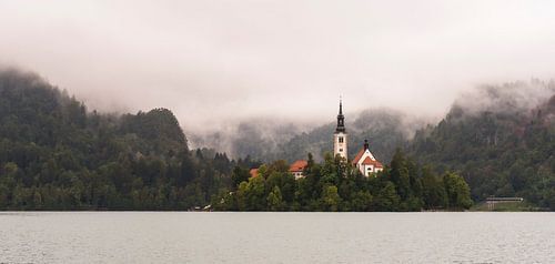 Meer in Bled Slovenië