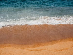 Tropischer Strand in Sri Lanka