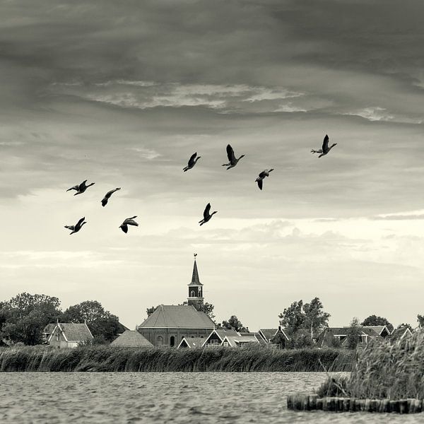 Driehuizen - Eilandspolder par Keesnan Dogger Fotografie