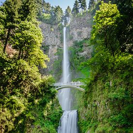 Multnomah-Wasserfälle - Oregon USA von Erwin van Oosterom