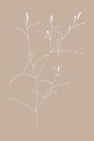 Boho botanische Wildblume in Beige Nr.10