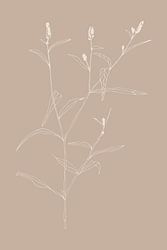 Boho botanische Wildblume in Beige Nr.10