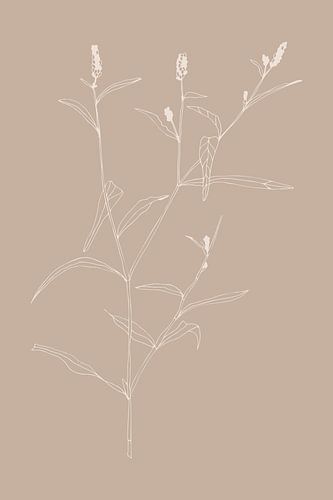 Fleurs sauvages botaniques boho en beige n°10