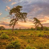 Drentsche Aa National Park