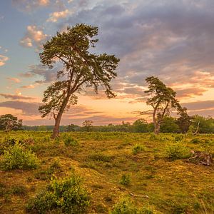 Nationalpark Drentsche Aa