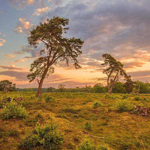 Nationaal Park Drentsche Aa