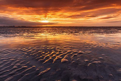 Lumière zélandaise