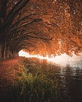 L'automne au bord du lac