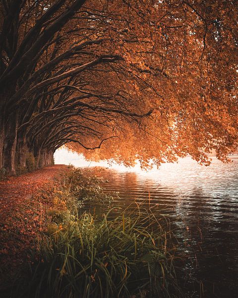 L'automne au bord du lac par Markus Schulz