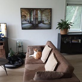 Customer photo: Manicomio di R by Esmeralda holman, on canvas
