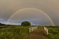 Regenbogen im Land van Cuijk von Bart van Dinten Miniaturansicht