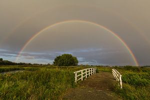 Regenboog in het Land van Cuijk