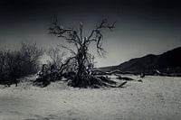Death Valley