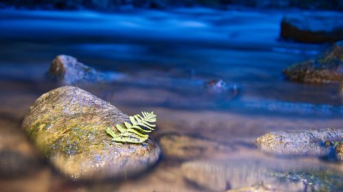 Lange belichting van een rivier, stenen met blad op de voorgrond.