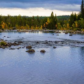 Fluss in Südlappland mit Bäumen in Herbstfarben. von Ineke Mighorst