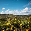 Nature et collines du Piémont sur Roel Timmermans
