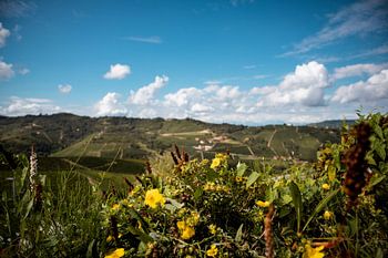 Natur und Hügel des Piemont