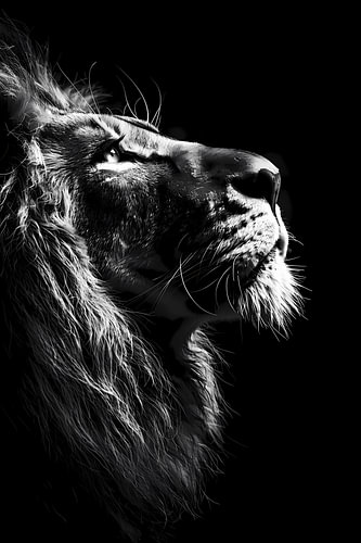 Majesty en monochrome 3