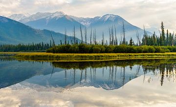 Vermilion Mirror II by Steven Driesen