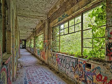 Urbex & verlassene Orte - "Dschungel versus Graffiti". von BHotography