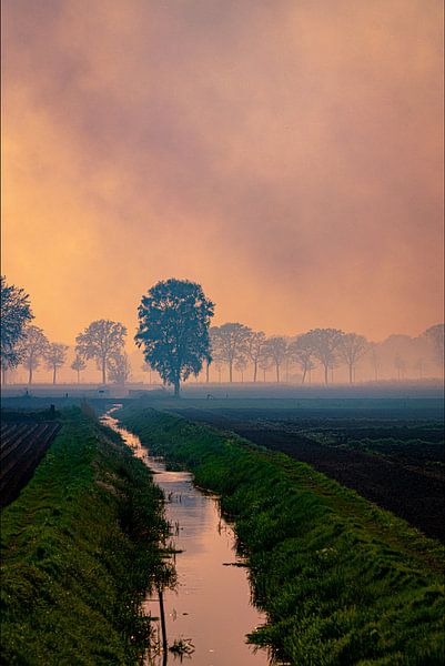 Paysage lors d'un incendie de forêt à Deurnese Peel 2020 par @Pixelsenses