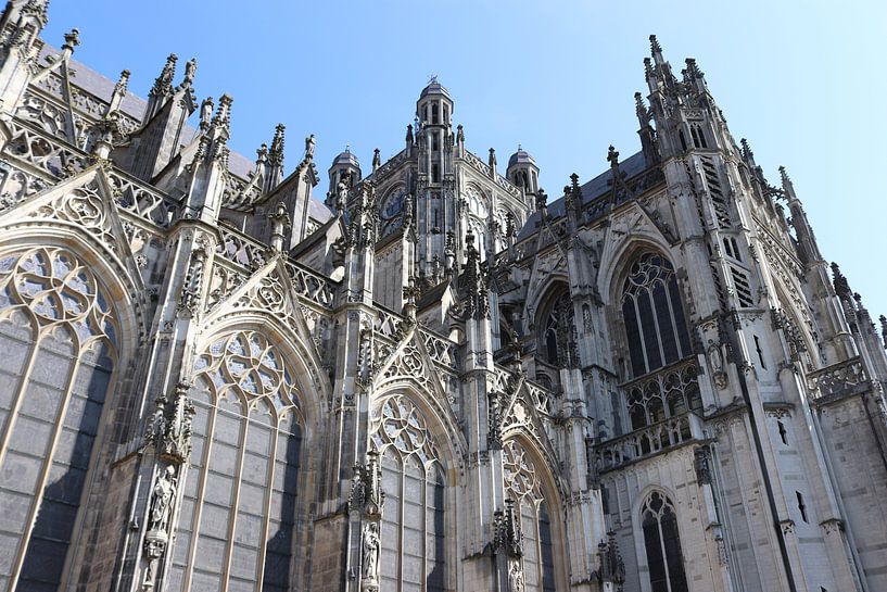 Sint Janskathedraal Den Bosch van Ivan Koole