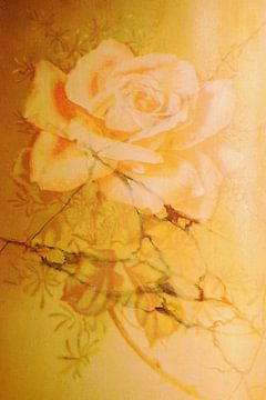 Eine orangefarbene Rose von Jeanet Francke