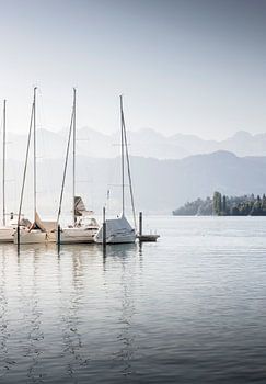 Morning calmness (portrait mode)