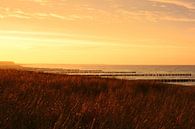 Gouden licht op het strand van Zingst - Baltische Zee van Gisela Scheffbuch thumbnail