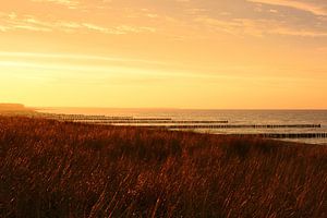 Goldenes Licht am Strand von Zingst - Ostsee