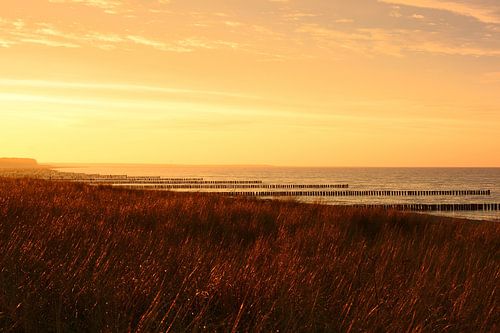Golden Light over Zingst by Gisela Scheffbuch