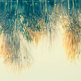 Reflection of autumn trees by Gabi Hampe