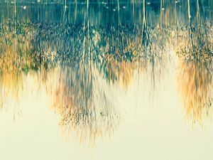 Reflection of autumn trees von Gabi Hampe