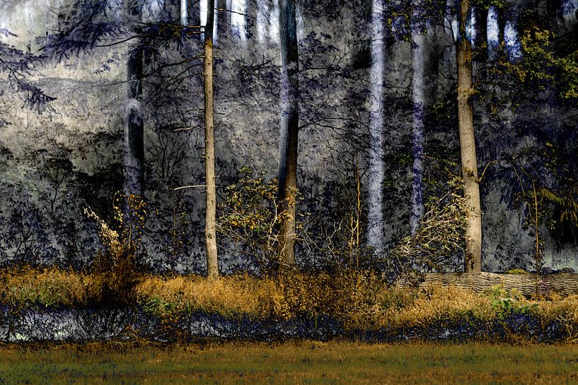 Forêt de conte de fées par willem verhaar