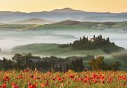 Tuscany hills in spring van Olga Ilina thumbnail