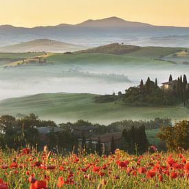 Collines de Toscane au printemps sur Olga Ilina