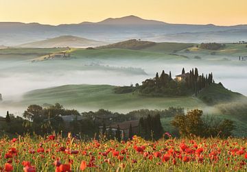 Tuscany hills in spring by Olga Ilina