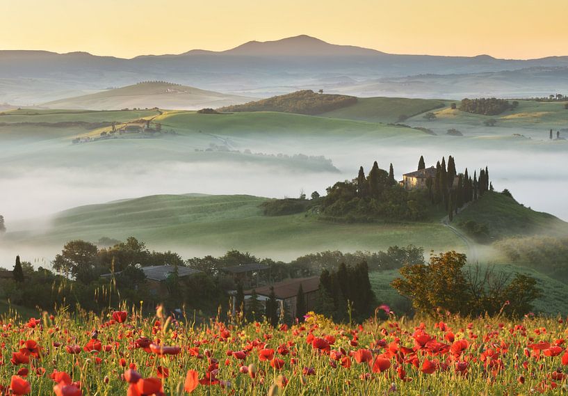 Tuscany hills in spring van Olga Ilina