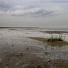 Groene strand Ameland van Paul Veen