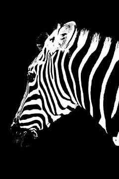 un zèbre monochrome mixed media