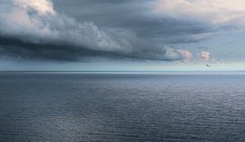 0896 Freiheit von Adrien Hendrickx