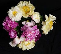 Pivoines dans un vase photographiées depuis le dessus