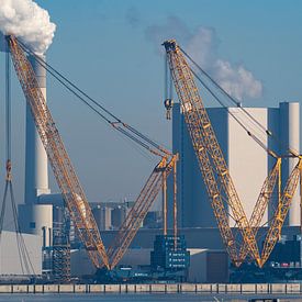 2 grues Sarens sur le deuxième bassin sur Arthur Bruinen