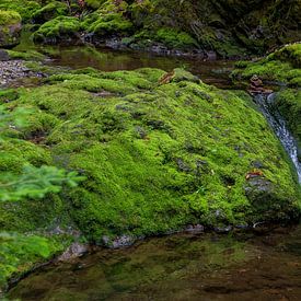 Cours d'eau en Nouvelle-Écosse/Canada sur Hans-Heinrich Runge