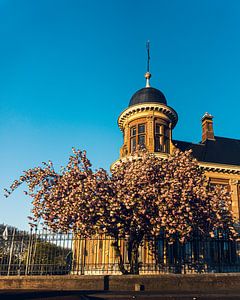 Hôtel des monnaies d'Utrecht