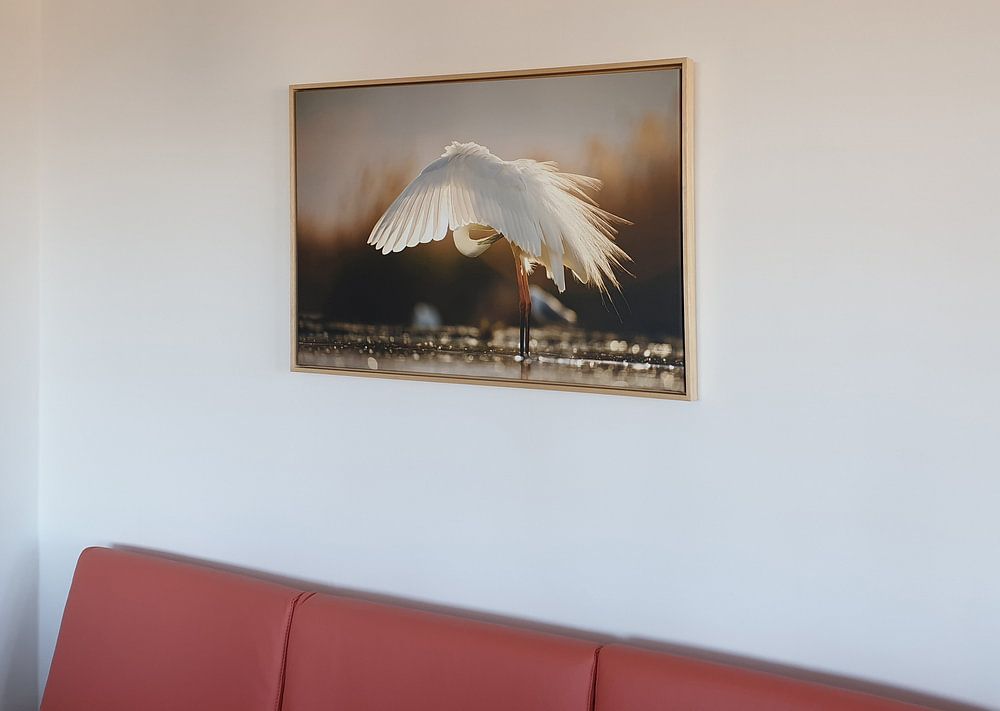 Bürsten Seidenreiher  von Beschermingswerk voor aan uw muur 