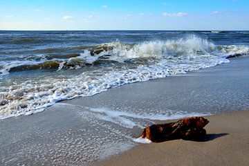 Washed up piece of wood on beach by Evert-Jan Hoogendoorn