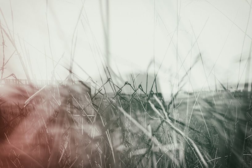 Beyond the border by Karin van Bylevelt