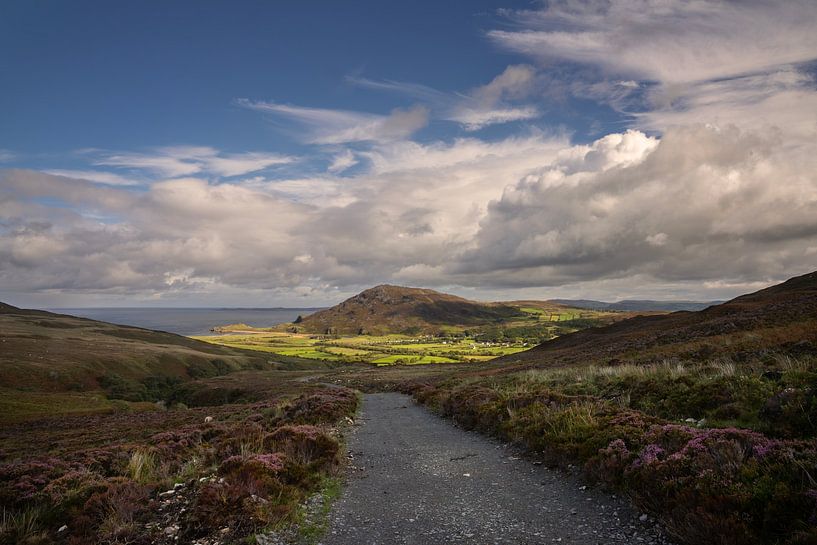 Landschaft von Donegal, Irland von Bo Scheeringa Photography
