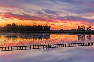 Sonnenuntergang bei Woudbloem, Groningen